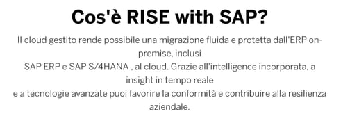 SAP RISE